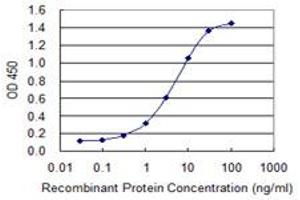 Detection limit for recombinant GST tagged FLNA is 0. (Filamin A antibody  (AA 1-838))