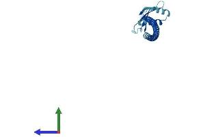 AlphaFold protein structure predicition of Human Recombinant SPC25 Protein, UniprotID Q9HBM1