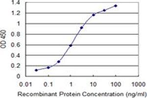 Detection limit for recombinant GST tagged SMAD7 is 0. (SMAD7 antibody  (AA 160-260))