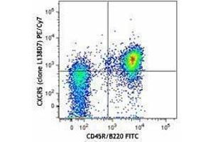 Flow Cytometry (FACS) image for anti-Chemokine (C-X-C Motif) Receptor 5 (CXCR5) antibody (PE-Cy7) (ABIN2659140) (CXCR5 antibody  (PE-Cy7))