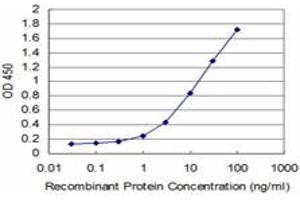 Detection limit for recombinant GST tagged HD is approximately 0. (Huntingtin antibody  (AA 81-190))