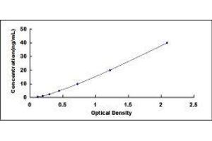 Typical standard curve (Aconitase 1 ELISA Kit)