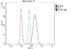 Flow Cytometry analysis of RAW264. (Androgen Receptor antibody  (AA 629-920))
