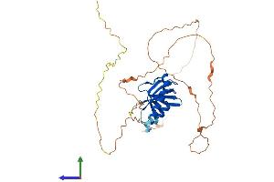 AlphaFold protein structure predicition of Mouse Recombinant Spata22 Protein, UniprotID Q5SV06