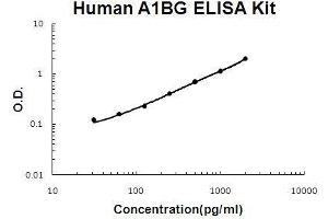 Human A1BG/alpha 1B-Glycoprotein PicoKine ELISA Kit standard curve (A1BG ELISA Kit)