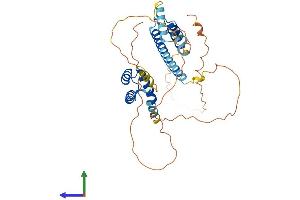 Protein Structure (PS) image for Meis Homeobox 3 (MEIS3) (AA 1-378) protein (His tag) (ABIN7556794)