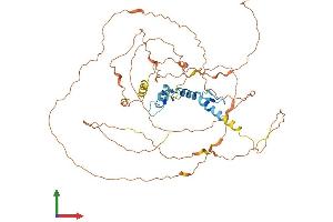 AlphaFold protein structure predicition of Mouse Recombinant Egr1 Protein, UniprotID P08046