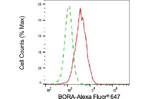 Flow cytometric analysis of BORA expression in HepG2 cells using BORA antibody (ABIN7799975), 1:2,000).