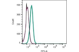 Cell surface detection of CD9 by indirect flow cytometry in live intact human  monocytic leukemia cell line: + goat-anti-rabbit-FITC. (CD9 antibody  (Extracellular))