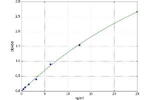 Regenerating Islet-Derived 3 beta (REG3B) ELISA Kit