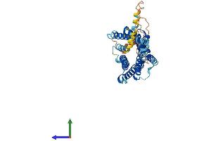 Protein Structure (PS) image for Prokineticin Receptor 1 (PROKR1) (AA 1-393) protein (His tag) (ABIN7550826)