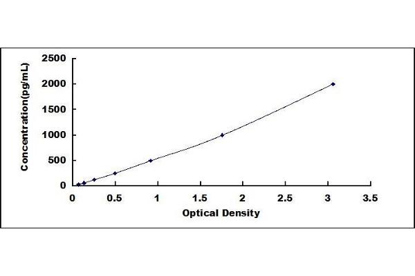 Persephin ELISA Kit