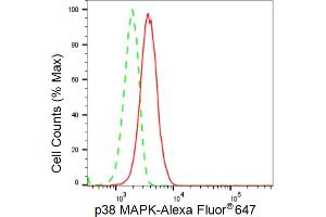 Flow cytometric analysis of p38 MAPK expression in HeLa cells using p38 MAPK antibody (ABIN7799448), 1:2,000).
