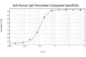 ELISA results of Rabbit anti-Human IgG Antibody Peroxidase Conjugated tested against purified Human IgG protein. (Rabbit anti-Human IgG (Heavy & Light Chain) Antibody (HRP))