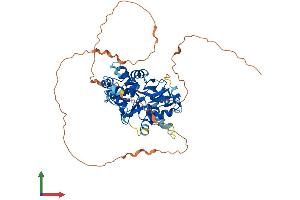Protein Structure (PS) image for Protein Kinase, AMP-Activated, gamma 3 Non-Catalytic Subunit (PRKAG3) (AA 1-489) protein (His tag) (ABIN7564340)