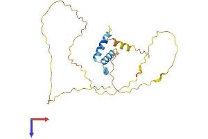 AlphaFold protein structure predicition of Mouse Recombinant Spata25 Protein, UniprotID Q9DA57 (SPATA25 Protein (AA 1-226) (His tag))