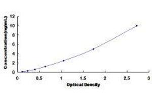 Glycine Dehydrogenase (GLDC) ELISA Kit