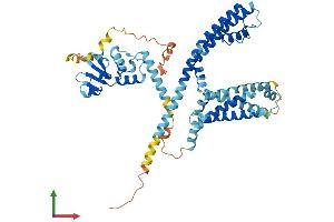 AlphaFold protein structure predicition of Mouse Recombinant Kcng1 Protein, UniprotID A2BDX4 (KCNG1 Protein (AA 1-514) (His tag))