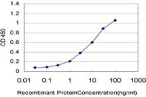 Detection limit for recombinant GST tagged WDR58 is approximately 0. (THOC6 antibody  (AA 71-180))