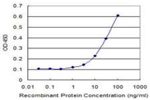 Detection limit for recombinant GST tagged PVRL2 is 1 ng/ml as a capture antibody. (PVRL2 antibody  (AA 1-479))