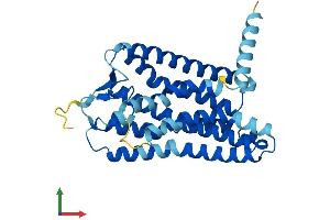AlphaFold protein structure predicition of Human Recombinant OR10A7 Protein, UniprotID Q8NGE5 (OR10A7 Protein (AA 1-316) (His tag))