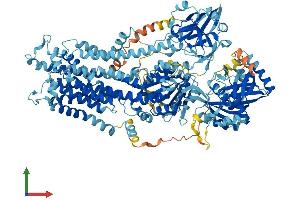 AlphaFold protein structure predicition of Mouse Recombinant Atp8b5 Protein, UniprotID A3FIN4 (Atp8b5 Protein (AA 1-1183) (His tag))