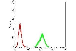 Flow cytometric analysis of Hela cells using HDAC2 mouse mAb (green) and negative control (red). (HDAC2 antibody  (AA 217-327))