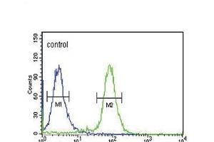 GP6 Antibody (C-term) (ABIN651878 and ABIN2840435) flow cytometric analysis of K562 cells (right histogram) compared to a negative control cell (left histogram).