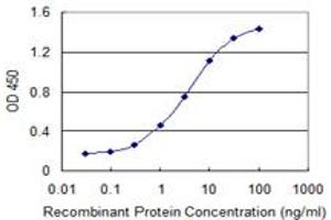 Detection limit for recombinant GST tagged IPO7 is 0. (IPO7 antibody  (AA 950-1038))