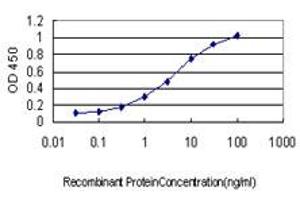 Detection limit for recombinant GST tagged GUCY2D is approximately 0. (GUCY2D antibody  (AA 521-630))