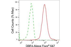 anti-DBF4 Homolog (DBF4) antibody