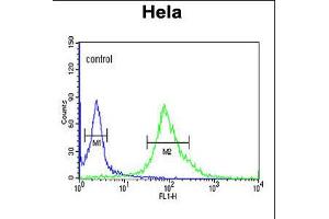 Flow cytometric analysis of Hela cells (right histogram) compared to a negative control cell (left histogram). (DDX49 antibody  (C-Term))