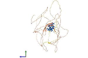 AlphaFold protein structure predicition of Mouse Recombinant Elf1 Protein, UniprotID Q60775 (ELF1 Protein (AA 1-612) (His tag))