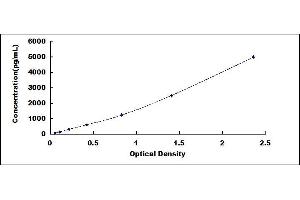 Typical standard curve (FUBP1 ELISA Kit)