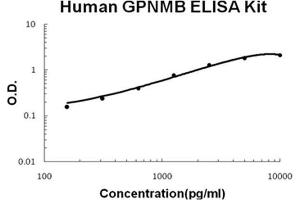 Human GPNMB/Osteoactivin PicoKine ELISA Kit standard curve
