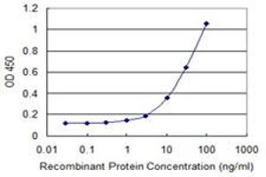 Detection limit for recombinant GST tagged THAP11 is 1 ng/ml as a capture antibody. (THAP11 antibody  (AA 1-85))