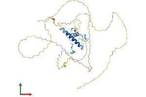 AlphaFold protein structure predicition of Human Recombinant FAM217B Protein, UniprotID Q9NTX9