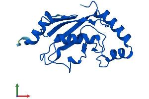 Protein Structure (PS) image for Ubiquitin-Conjugating Enzyme E2N (UBE2N) (AA 1-152) protein (His tag) (ABIN7555876)