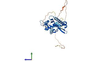 AlphaFold protein structure predicition of Human Recombinant MAGEA4 Protein, UniprotID P43358