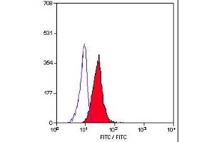 Staining of human peripheral blood granulocytes with Mouse anti Human CD11c (ABIN119600). (CD11c antibody)