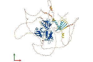 AlphaFold protein structure predicition of Mouse Recombinant Epb41 Protein, UniprotID P48193 (EPB41 Protein (AA 1-858) (His tag))