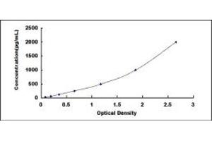 Typical standard curve (Cathepsin S ELISA Kit)