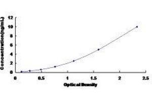 Ankyrin Repeat Domain 1 (Cardiac Muscle) (ANKRD1) ELISA Kit