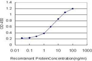 Detection limit for recombinant GST tagged FOXO3A is approximately 0. (FOXO3 antibody  (AA 361-460))