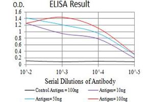 Black line: Control Antigen (100 ng),Purple line: Antigen (10 ng), Blue line: Antigen (50 ng), Red line:Antigen (100 ng) (Serotonin Receptor 3B antibody  (AA 23-150))