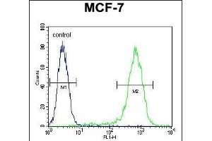 LYSMD4 Antibody (N-term) (ABIN654381 and ABIN2844130) flow cytometric analysis of MCF-7 cells (right histogram) compared to a negative control cell (left histogram). (LYSMD4 antibody  (N-Term))