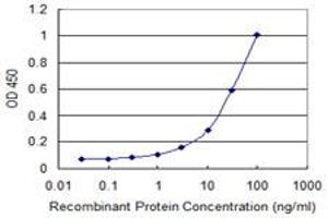 Detection limit for recombinant GST tagged CARD6 is 0. (CARD6 antibody  (AA 1-110))