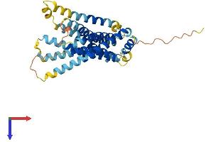 GPR146 Protein (AA 1-333) (His tag)