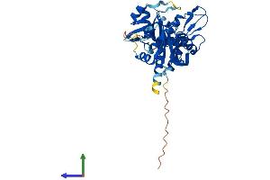 AlphaFold protein structure predicition of Mouse Recombinant Nudt13 Protein, UniprotID Q8JZU0