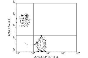 Flow Cytometry (FACS) image for anti-CD5 (CD5) antibody (PE) (ABIN356204) (CD5 antibody  (PE))